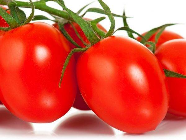 Хороший урожай при минимальных усилиях — томат непас 2 непасынкующийся малиновый: описание сорта
