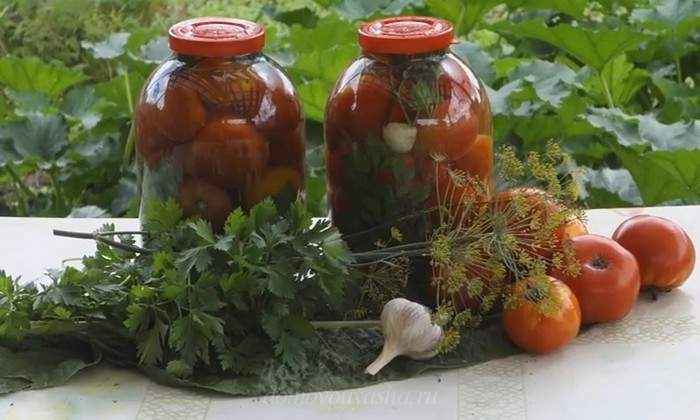Как солить помидоры холодным способом в банках: пошаговые рецепты домашних заготовок