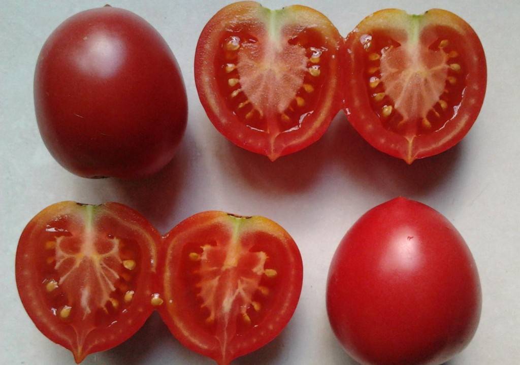 Описание сорта томата Сызранская Пипочка, выращивание и уход