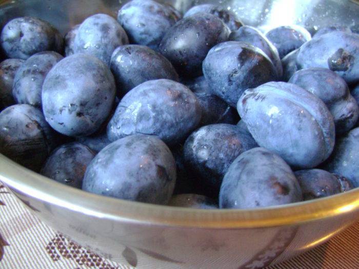 Слива маринованная закусочная как маслины: вкусный рецепт приготовления на зиму