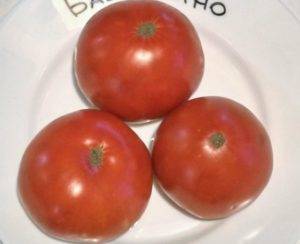 Характеристика и описание сорта томата бабушкин секрет и его урожайность