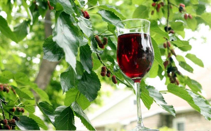 6 простых рецептов, как сделать вино из шелковицы в домашних условиях