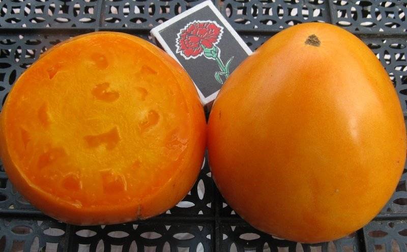 Характеристика сорта томата Медовое сердце, его урожайность