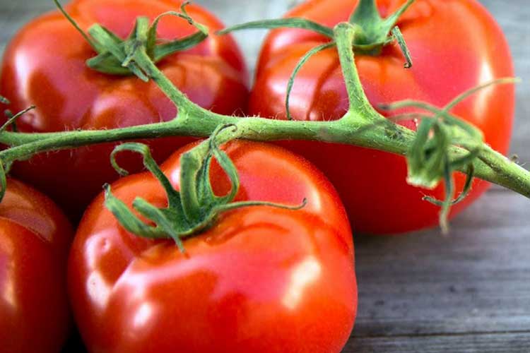 Витамины и другие полезные вещества в помидорах – как помидоры спасают от онкологии и помогают при беременности?