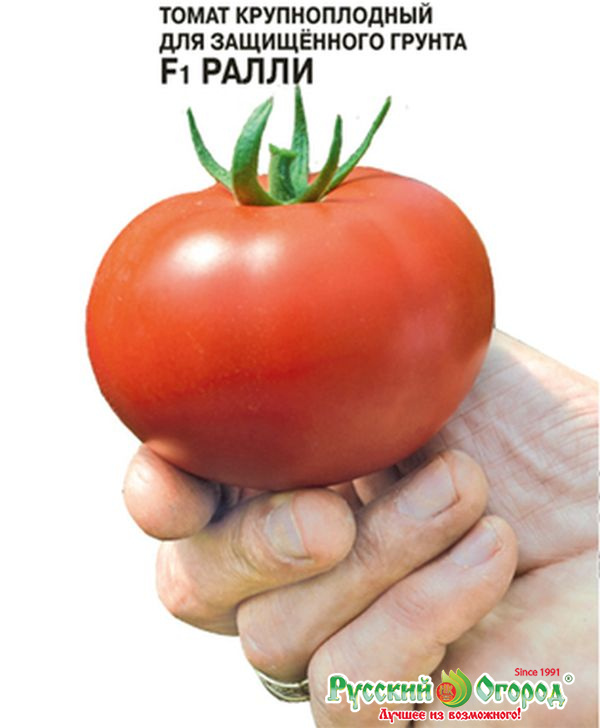 Описание и особенности выращивания сорта томата персей