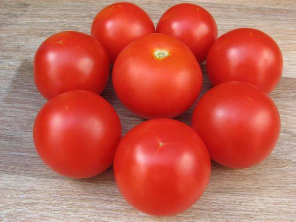 Сорт томата «персей» для любого региона: описание, характеристика, посев на рассаду, подкормка, урожайность, фото, видео и самые распространенные болезни томатов
