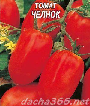 Характеристика и описание томата негритенок, агротехника выращивания сорта