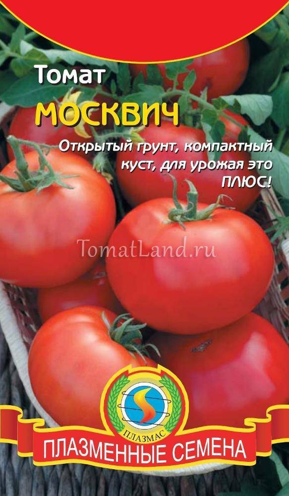 О томате москвич: описание и характеристики сорта, уход и выращивание