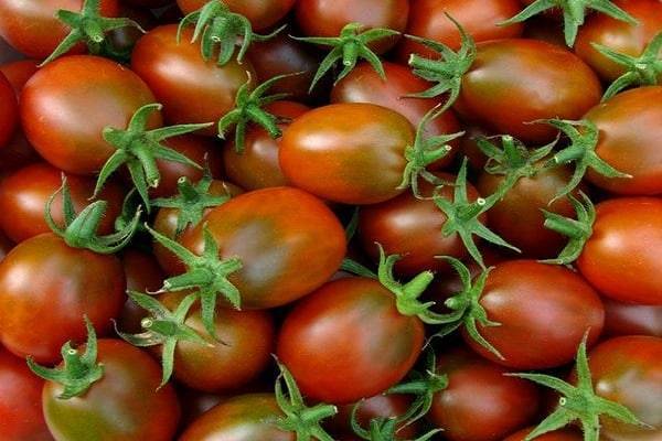 Эволюция для вашей теплицы. описание розовоплодного биф-томата и советы по агротехнике