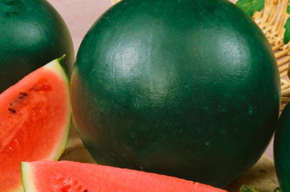 Вкусная полосатая ягода: как самостоятельно вырастить арбуз