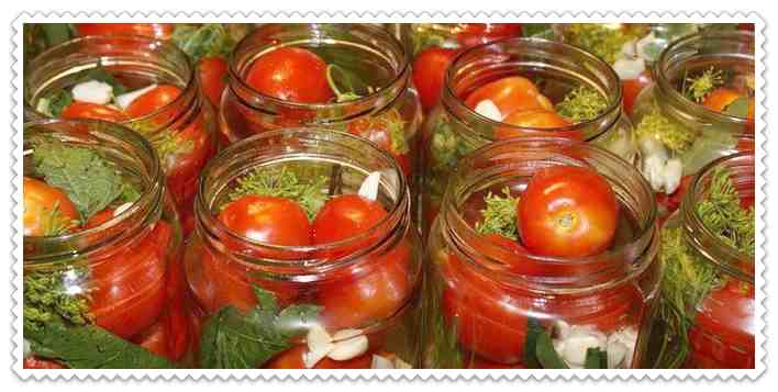 Засолка помидоров на зиму холодным способом: 9 простых рецептов