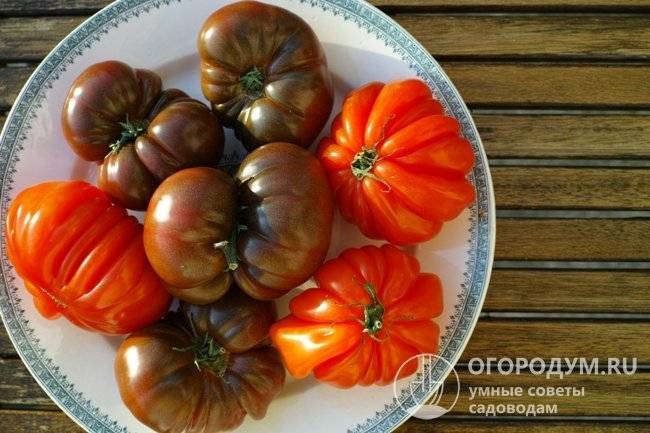 Нюансы выращивания томата арбузный и его общая характеристика