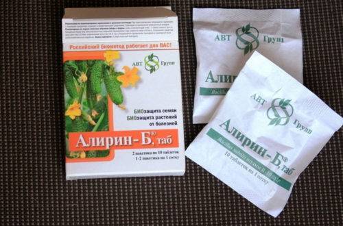 Фунгицид алирин: инструкция по применению препарата, отзывы, когда обрабатывать растения