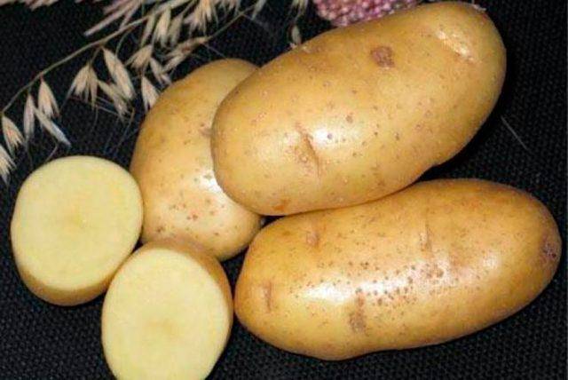 Картофель каратоп