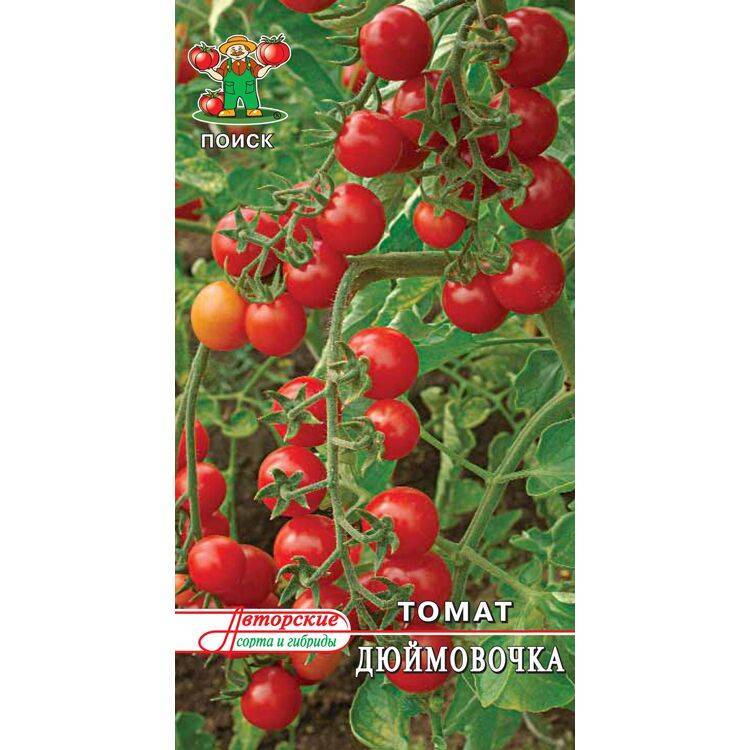 Томат тамина: характеристика и описание сорта, особенности выращивания с фото