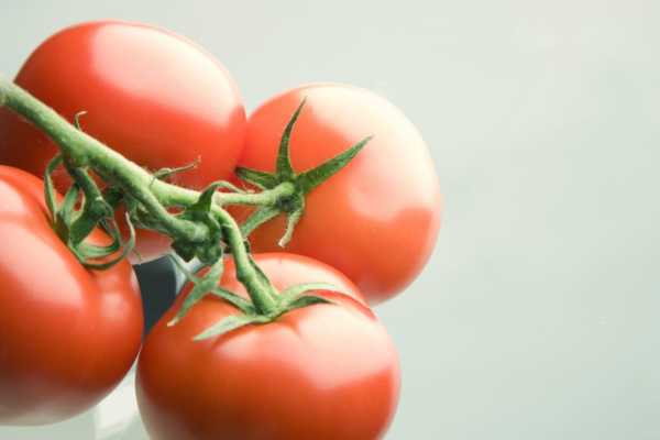 Что делать со вздувшимися банками с помидорами и как спасти закатки