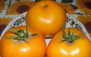 Прекрасный выбор томата для огородника-любителя — сорт «корнеевский розовый»: нарядный и полезный