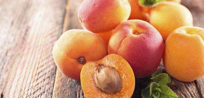Описание и характеристики сорта абрикоса харгранд, выращивание и уход