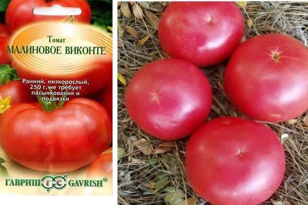 Вкусный среднеспелый томат «малиновый закат f1»: описание сорта и особенности выращивания