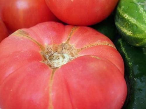 Описание сорта томата Красные щечки и его характеристики
