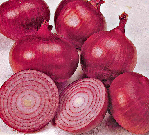 Красный лук ред семко f1. описание сорта, особенности выращивания и хранения урожая