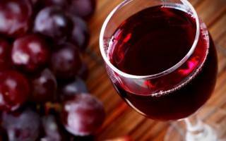 6 простых рецептов приготовления вина из ревеня в домашних условиях