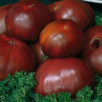 Оправдывает ли свое название томат «лакомка» и что говорят овощеводы о сорте