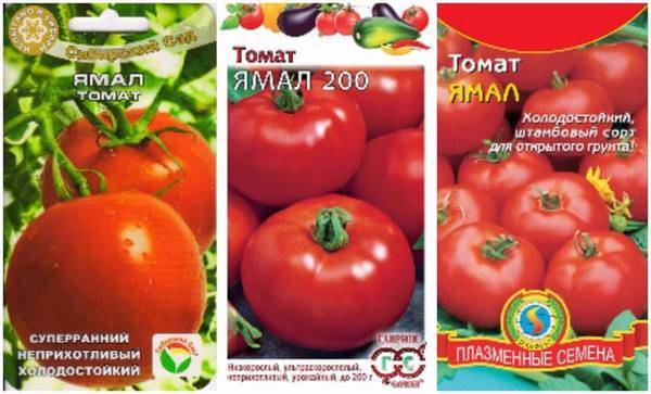 Томат ямал: отзывы фото урожайность характеристики и описание сорта, достоинства и недостатки