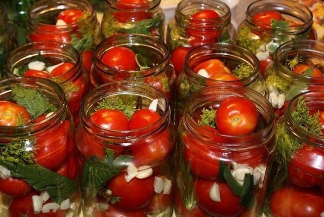 Лучшие сорта томатов для засолки и консервирования