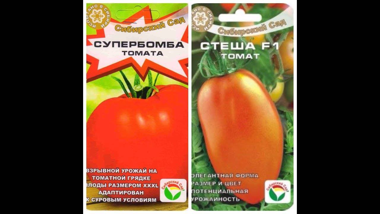 Горы урожая сорта помидоров из сибири - томат супербомба: описание и советы по выращиванию