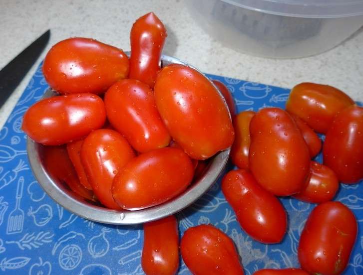 Что за помидоры сорта «ракета»?