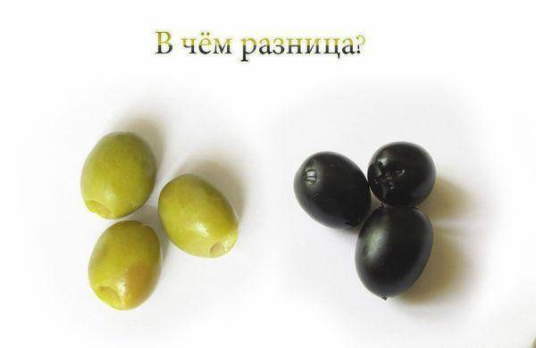 Маслины или оливки – что полезнее съесть?