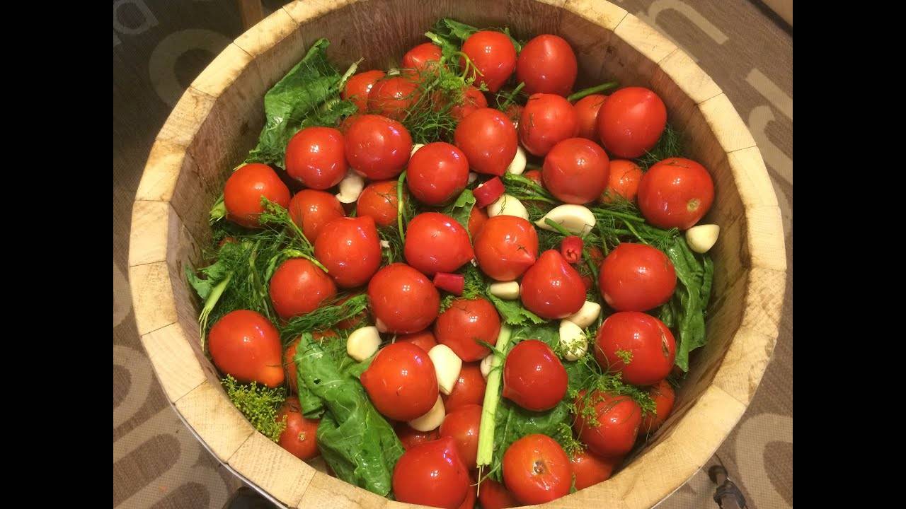 Как солить помидоры простым холодным способом в ведре, бочке, кастрюле, банках? рецепты зеленых, красных соленых помидоров на зиму