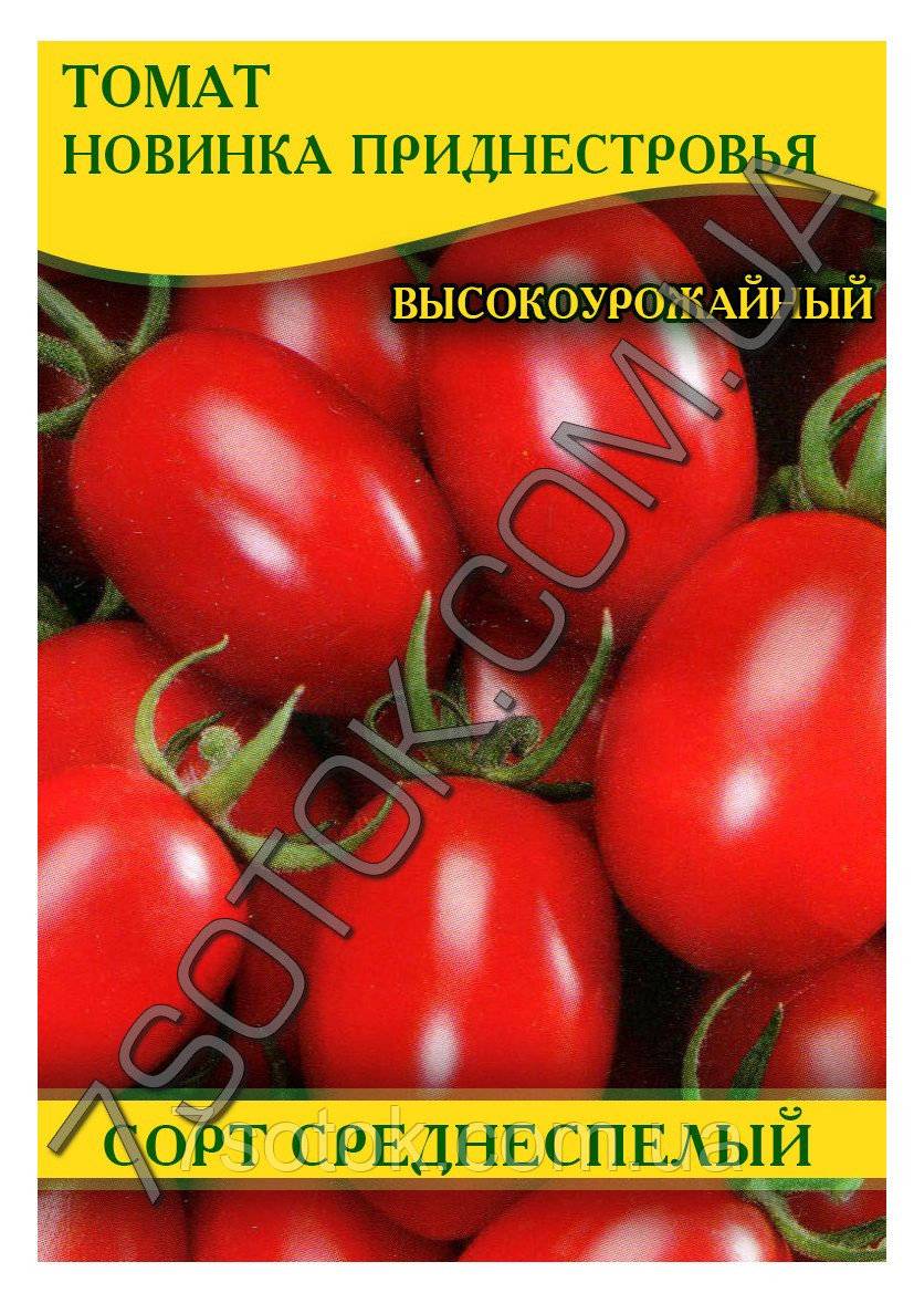 Хорошая урожайность с томатом «новинка приднестровья»: описание сорта, фото, особенности помидоров