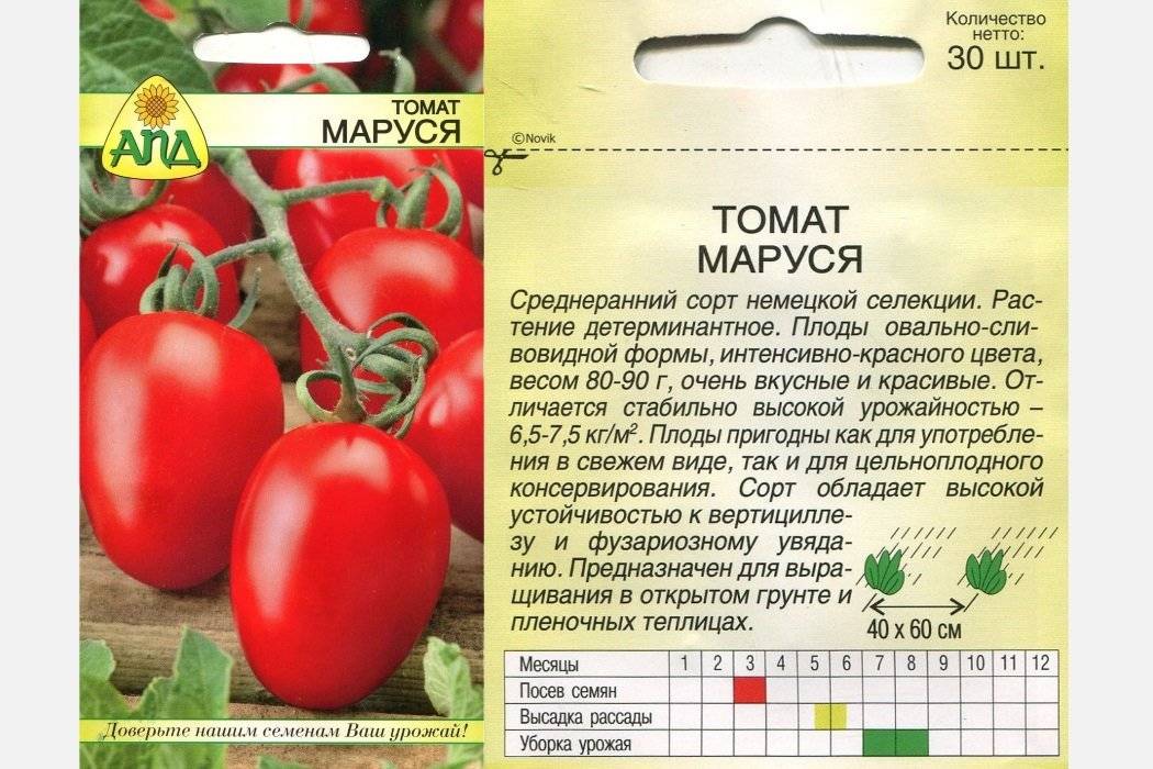 Томат маруся: характеристика, описание сорта, урожайность и отзывы