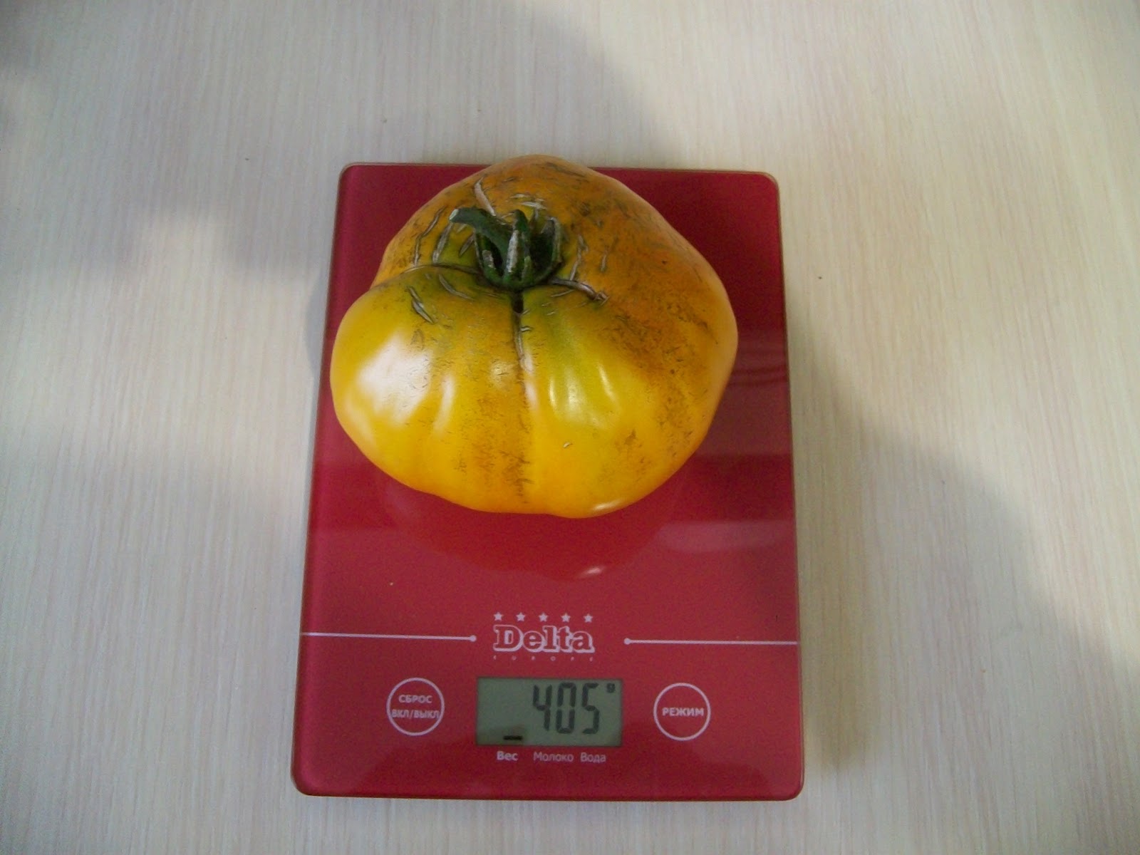 Характеристика сорта томата ралли, его урожайность