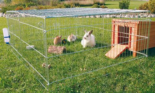 Вольер для кроликов: постройка своими руками, разведение, фото