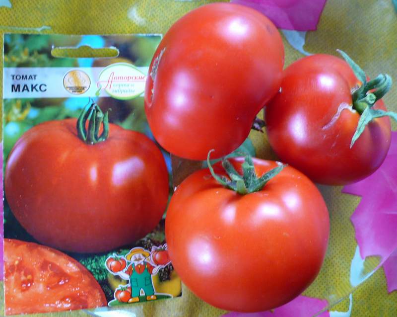 Характеристика и описание сорта томата Макс, его урожайность