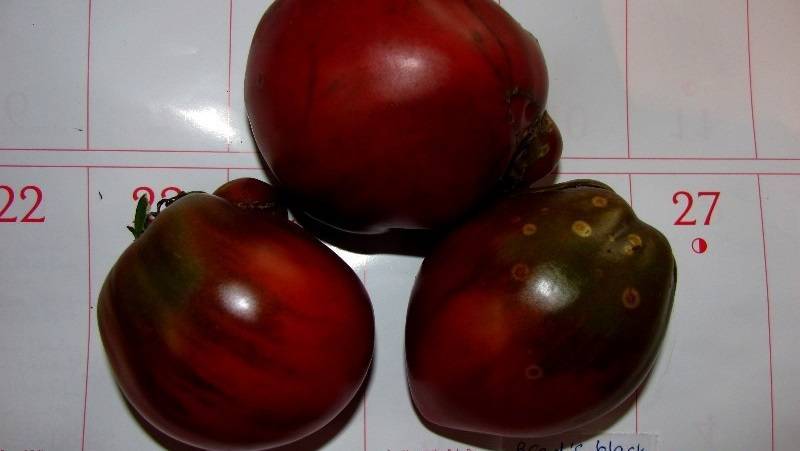Полный обзор томата «чёрное сердце бреда»: характеристики и описание сорта, его преимущества и недостатки