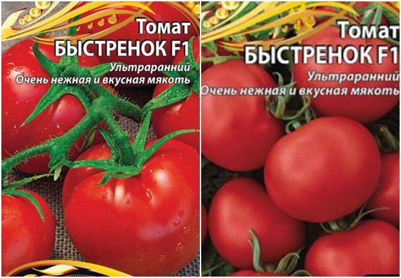 Характеристика и описание сорта томата Быстренок, его урожайность