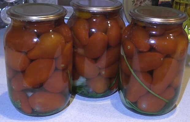 Рецепт консервирования помидор с малиновыми листьями на зиму в банках