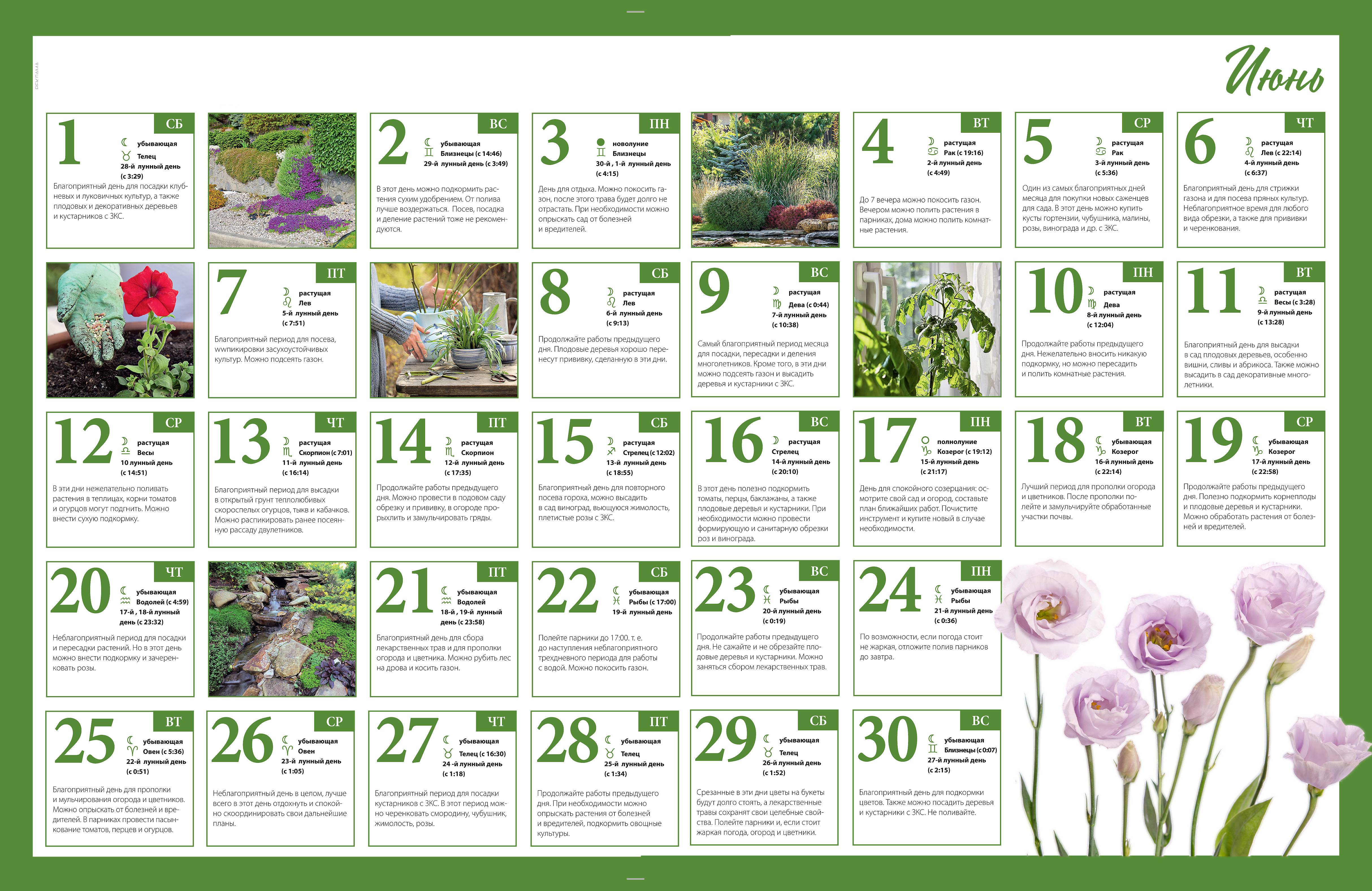 Лунный посевной календарь на май 2020 для садовода, огородника и цветовода