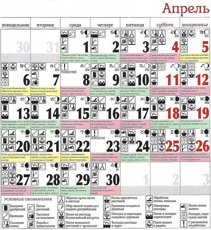 Лунный календарь огородника на 2020 год | лунный посевной календарь 2020