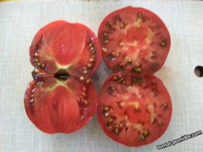 Через сколько всходят семена томатов (помидор) на рассаду