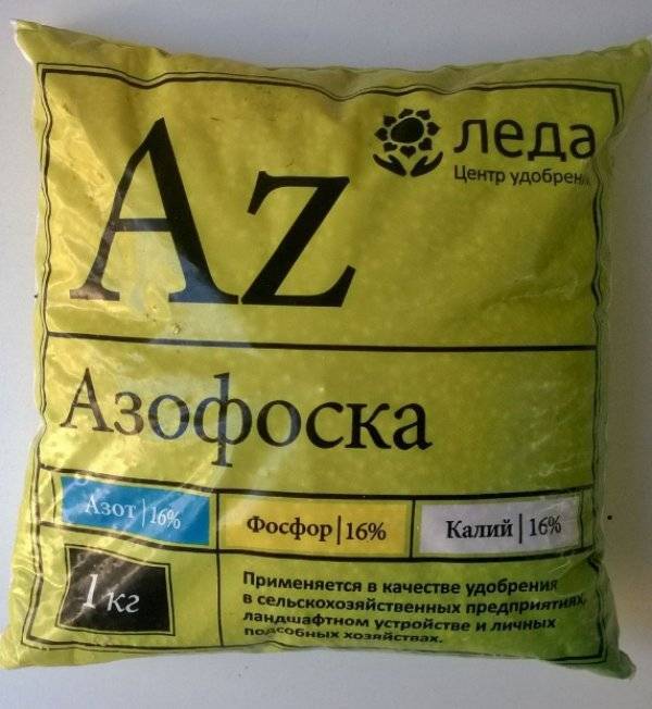 Азофоска – эффективное минеральное удобрение