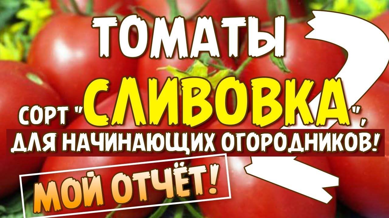 Сливовидные сорта томатов