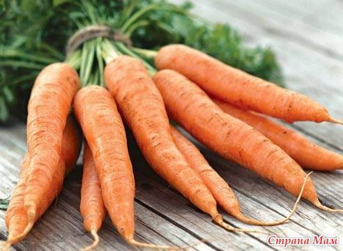 Как обработать морковь от сорняков керосином