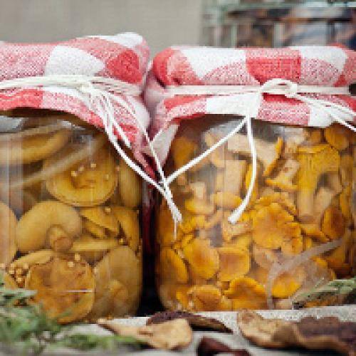 Способы как заморозить грибы на зиму в холодильнике: правила подготовки и заморозки в домашних условиях