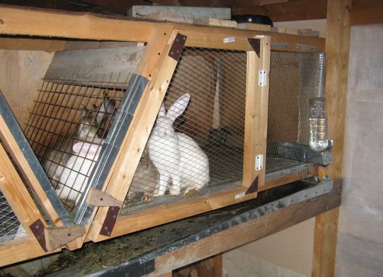 Как сделать клетку для кроликов своими руками — виды конструкций, подготовка к работе и поэтапная технология строительства