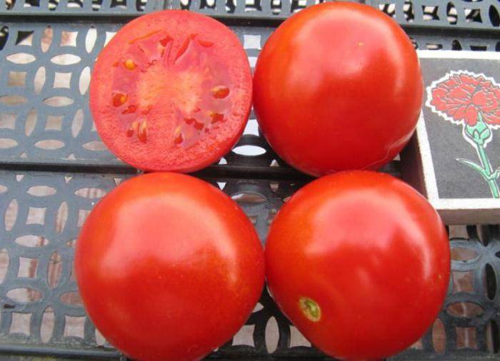 Фото, отзывы, описание, характеристика, урожайность гибрида томата «солероссо f1»